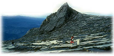 bg_sabah.jpg (15623 bytes)