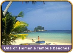 bg_tioman.jpg (12844 bytes)